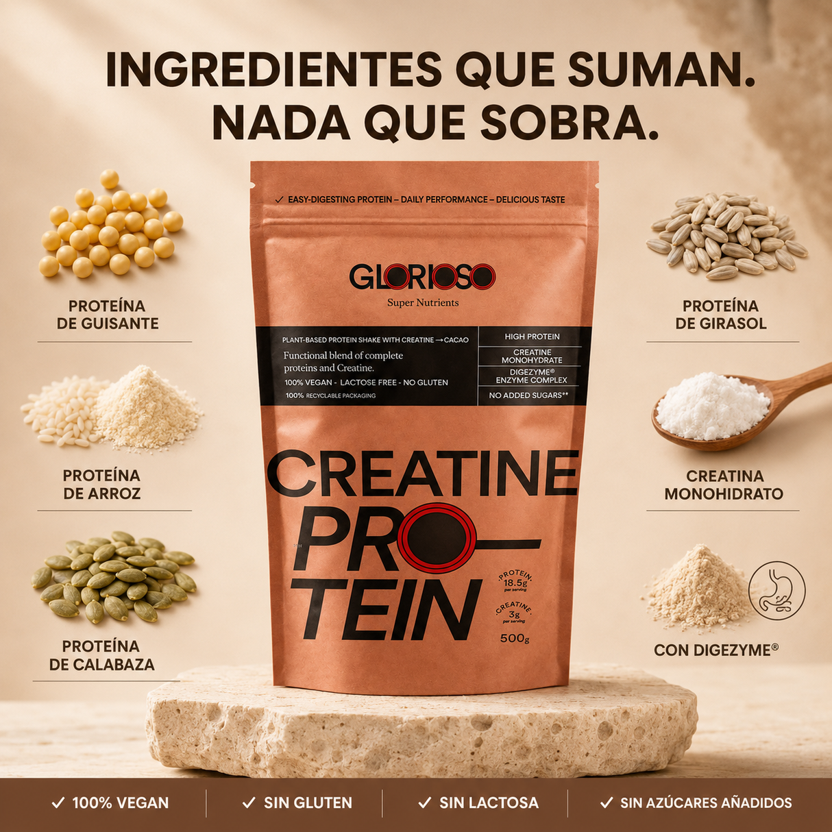 Infografía de ingredientes de Creatine Protein Glorioso con proteína de guisante, arroz, calabaza y girasol, creatina monohidrato, DigeZyme®, fórmula vegana sin gluten, sin lactosa y sin azúcares añadidos.
