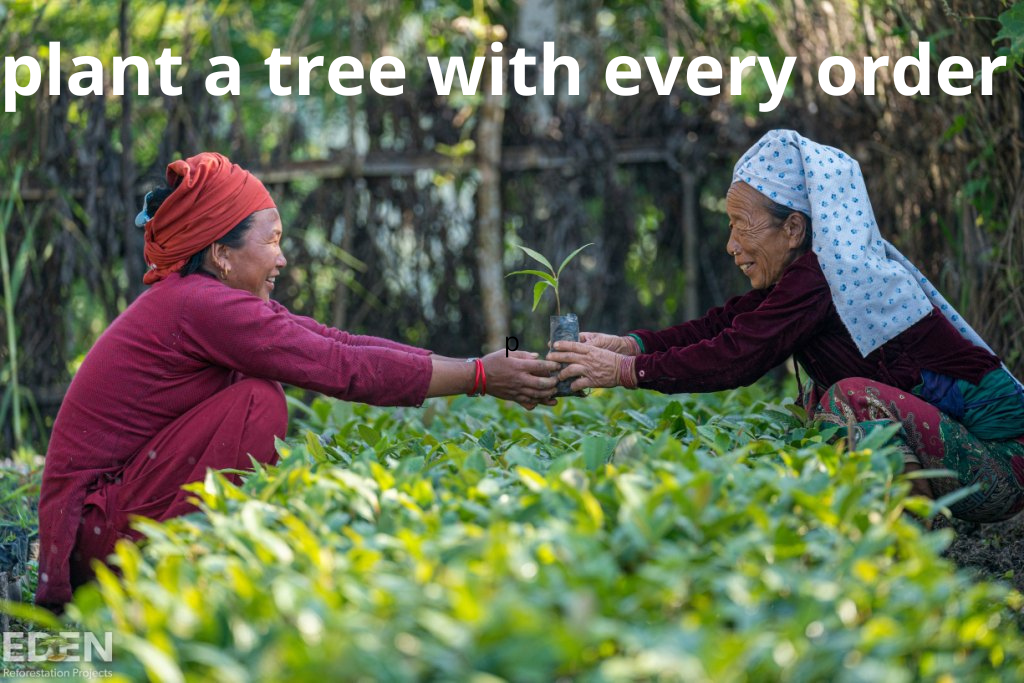 Dos mujeres en un campo verde plantando un árbol joven, concepto de sostenibilidad.