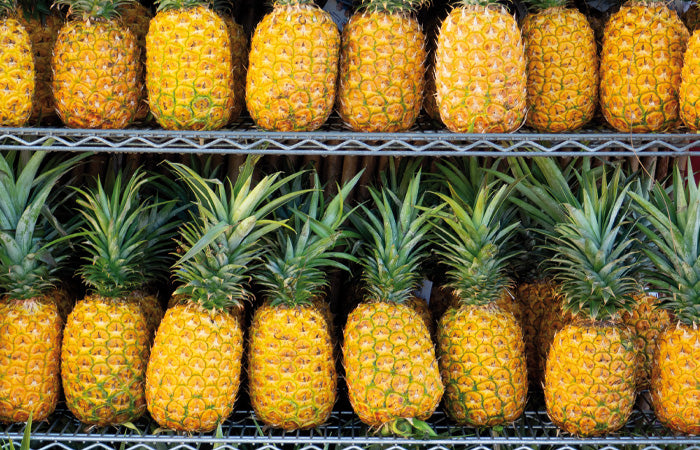 La Enzima Bromelaína presente en la piña. Receta bebida de fermento de piña.