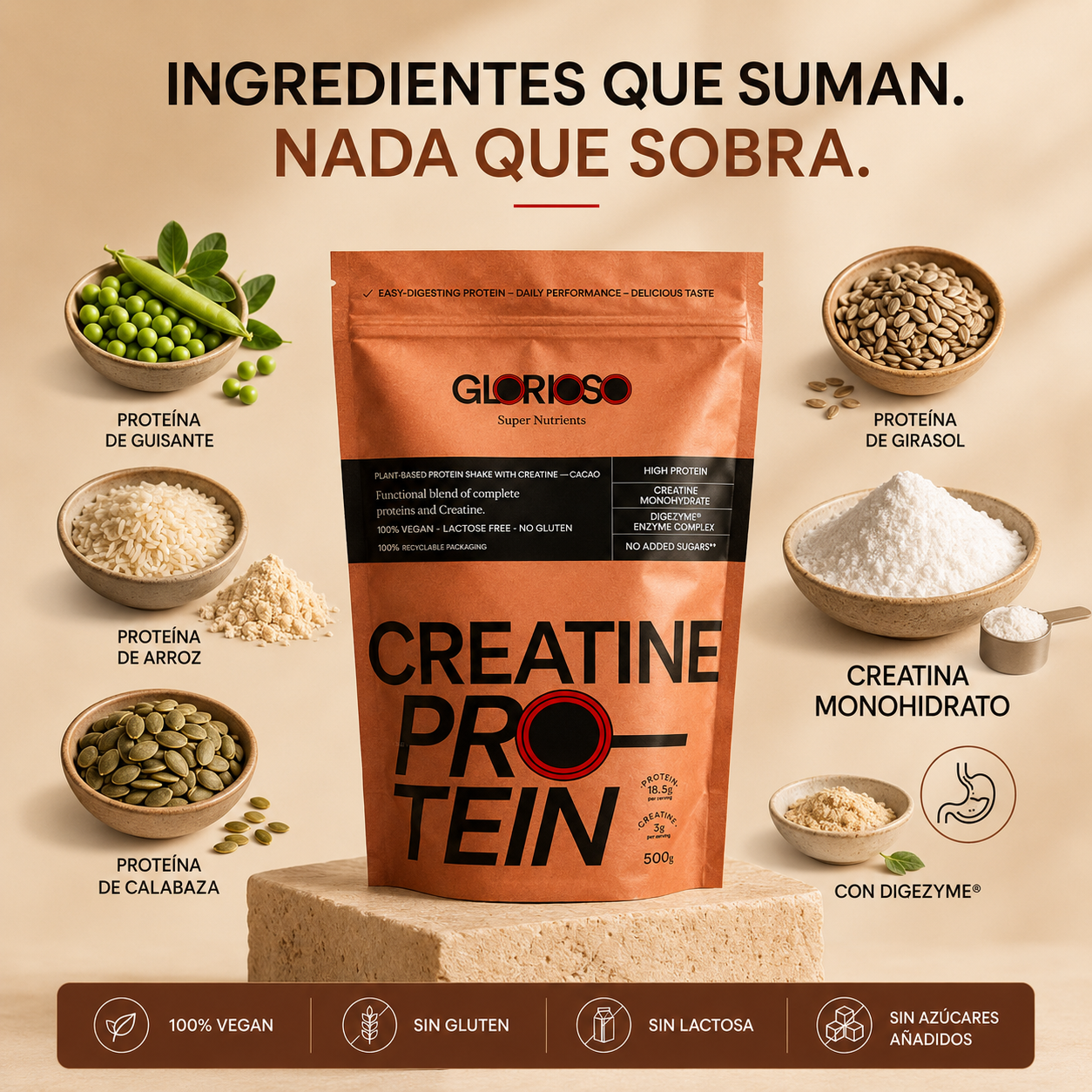 Infografía de ingredientes de Creatine Protein Glorioso con proteína de guisante, arroz, calabaza y girasol, creatina monohidrato, DigeZyme®, fórmula vegana sin gluten, sin lactosa y sin azúcares añadidos.